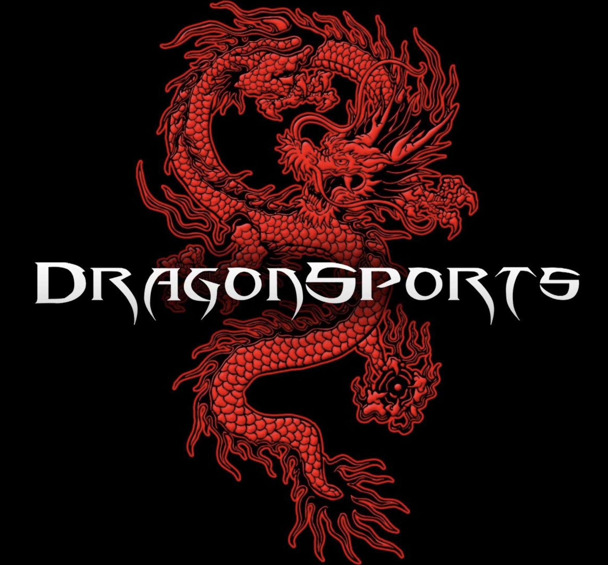 logo DRAGON SPORTS